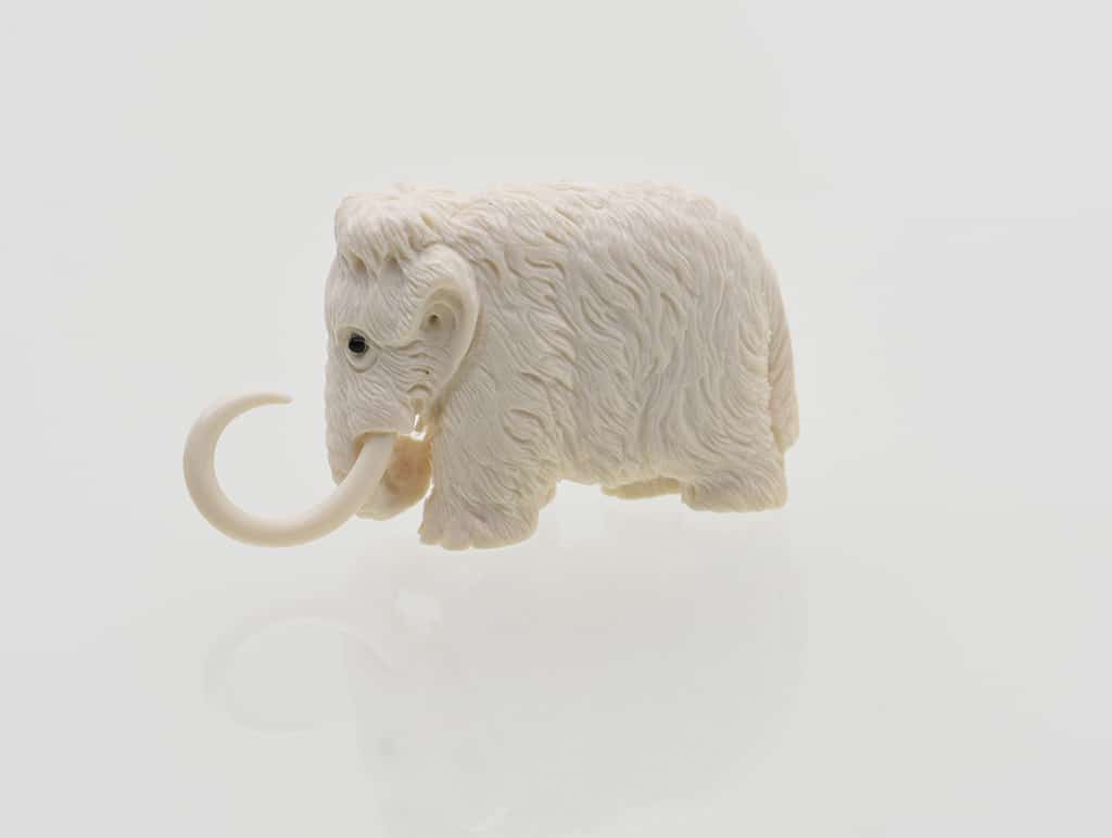 Ivory For Sale