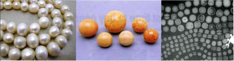 Research on Golden Cultured Pearls - SSEF